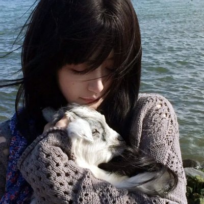 风流冤家